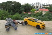 DOTM Bumblebee Leader (2)